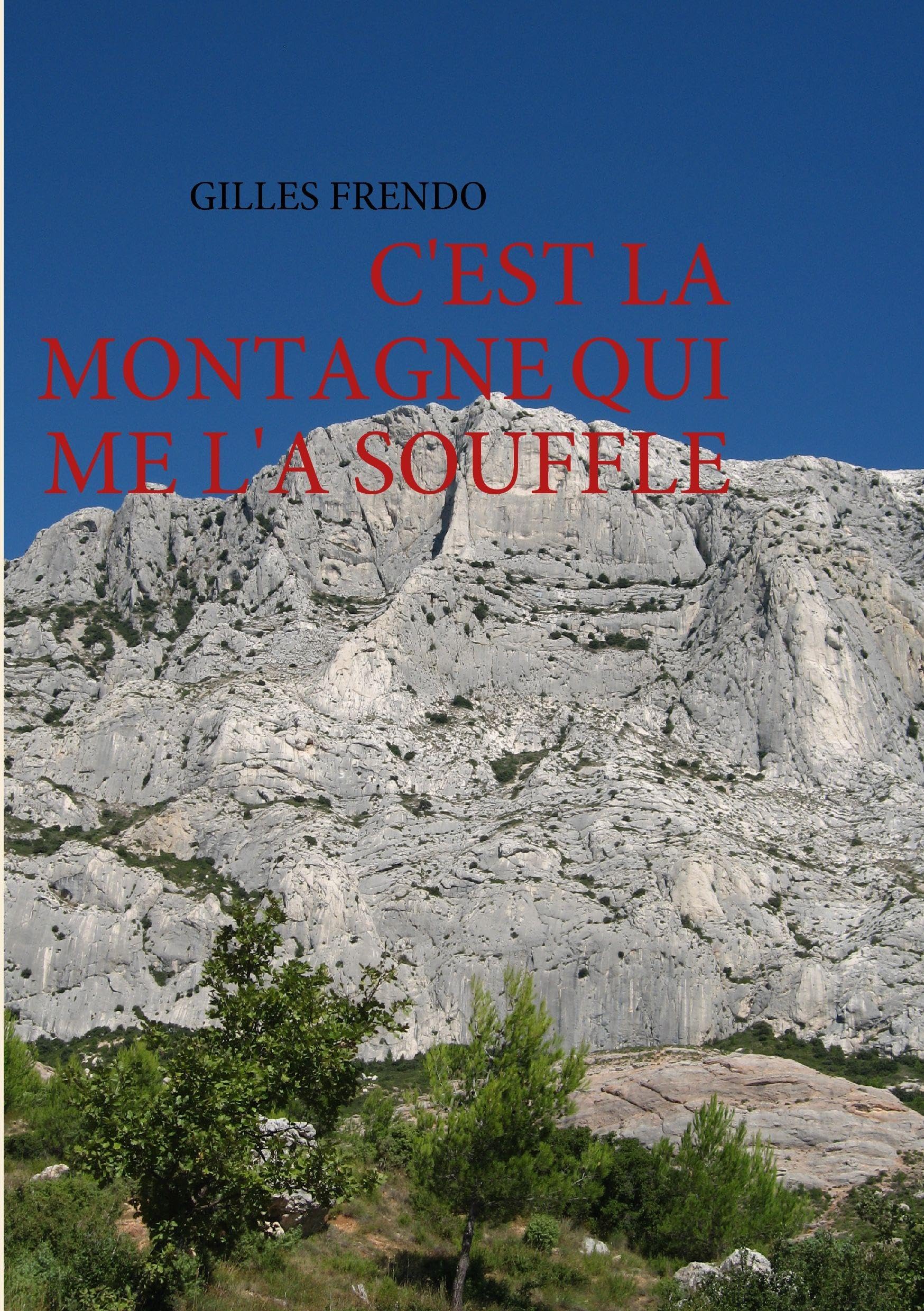 C'est la montagne qui me l'a soufflé book