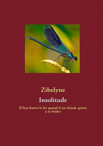 Insolitude: Il faut battre le fer quand il est chaud, quitte à se brûler book