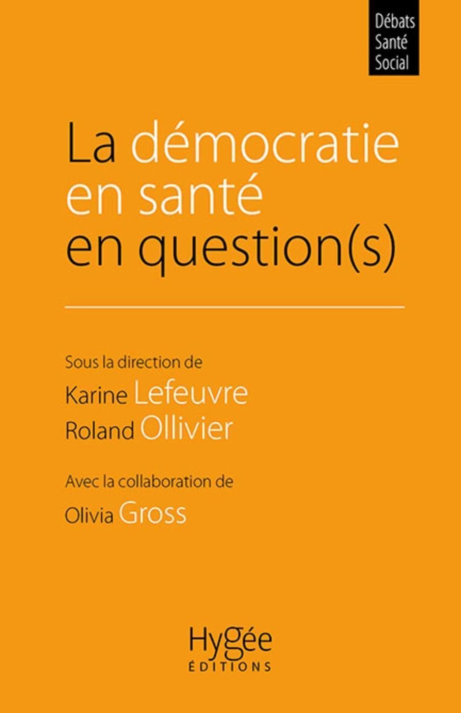La démocratie en santé en question(s): Préface d'Alain-Michel Ceretti book