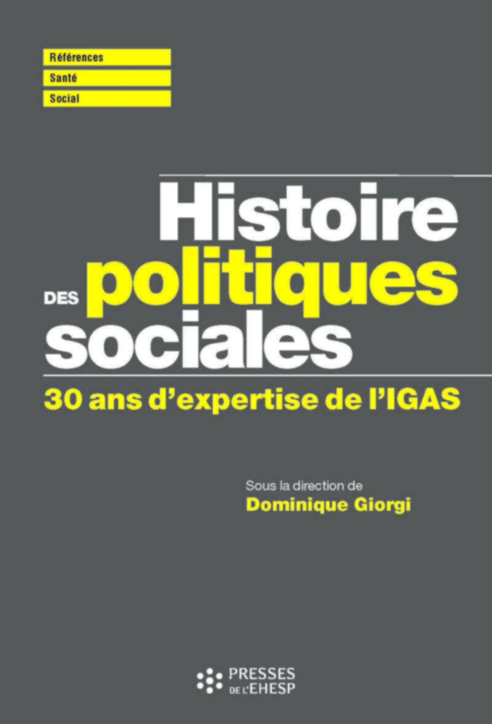 Histoire des politiques sociales: 30 ans d'expertise de l'IGAS. Avant-propos de François Brun. Postface de Pierre Boissier. Social Sciences