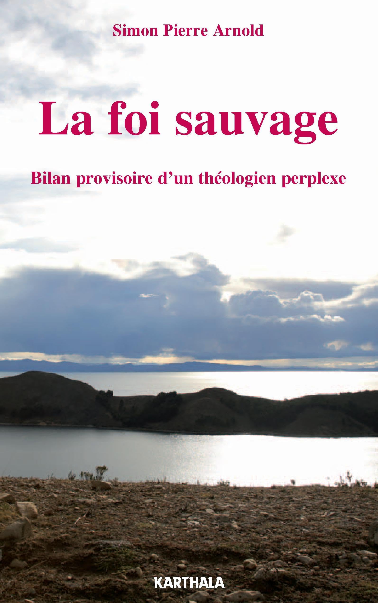 La foi sauvage, bilan provisoire d'un théologien perplexe book