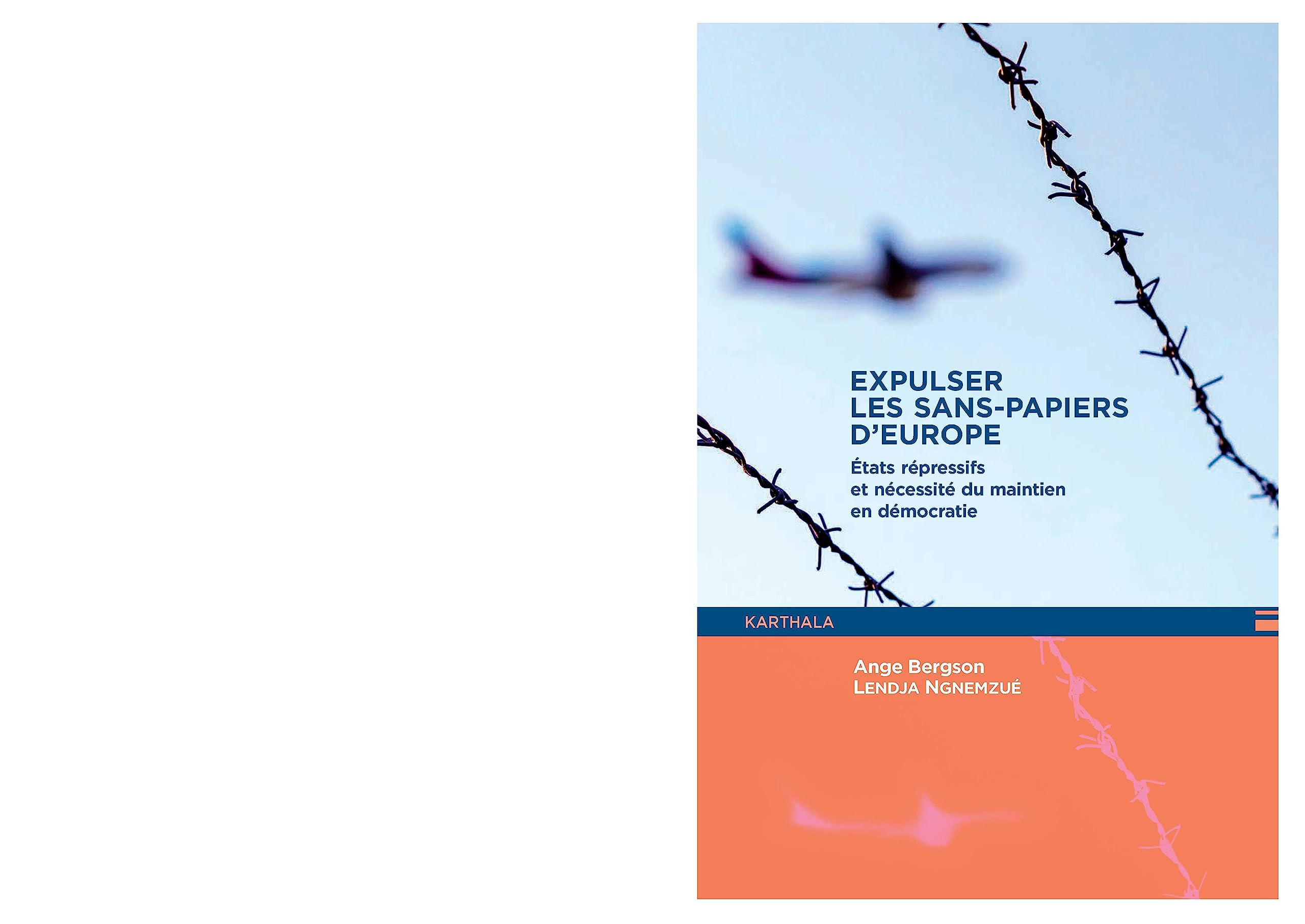 Expulser les sans-papiers d'Europe : Etats répressifs et nécessité du maintien en démocratie Books