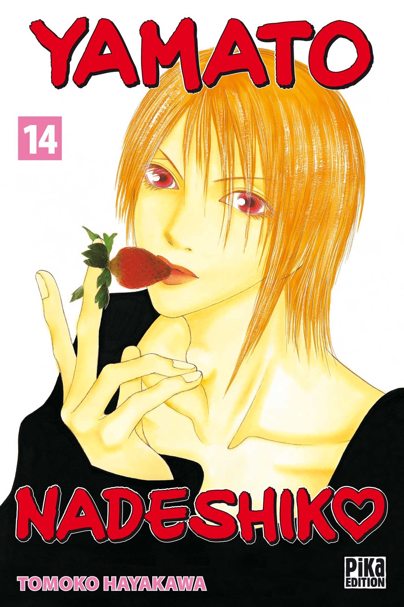 Yamato Nadeshiko T14 Manga