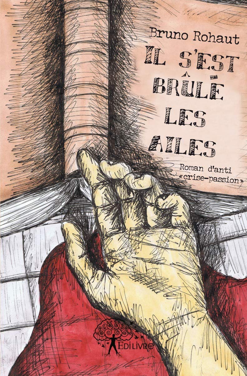 Il s'est brûlé les ailes - roman d'anti crise passion Books