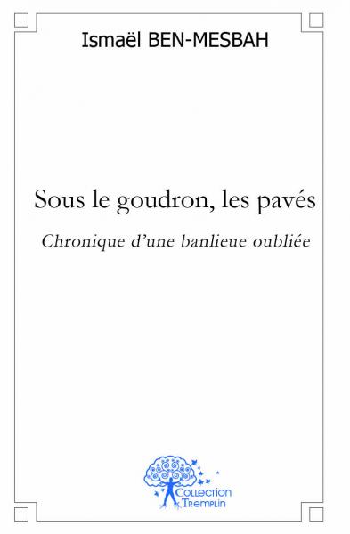 Sous le goudron, les pavés : Chronique d'une banlieue oubliée book