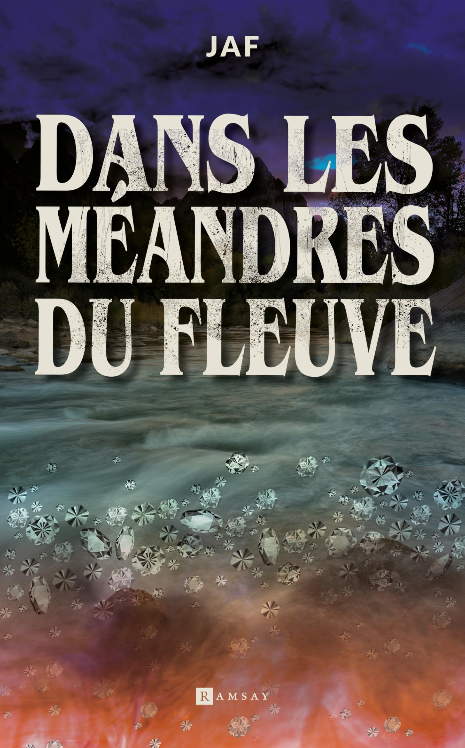 Dans les méandres du fleuve: Que feriez-vous en décovrant une tête dans un sac rempli de diamants ? Contemporary literature