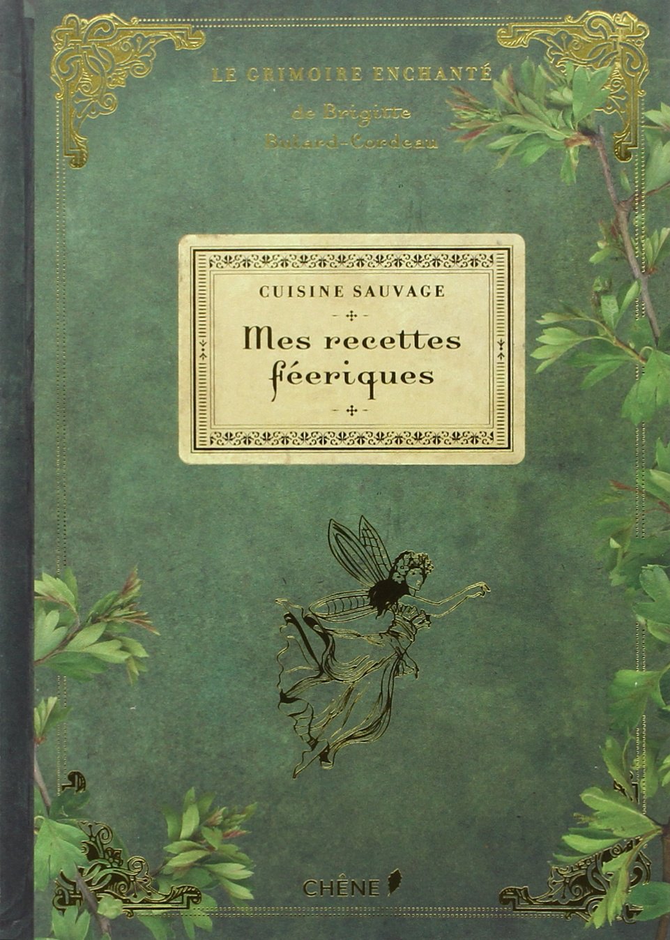 Cuisine sauvage : Mes recettes féeriques: Le grimoire enchanté Books
