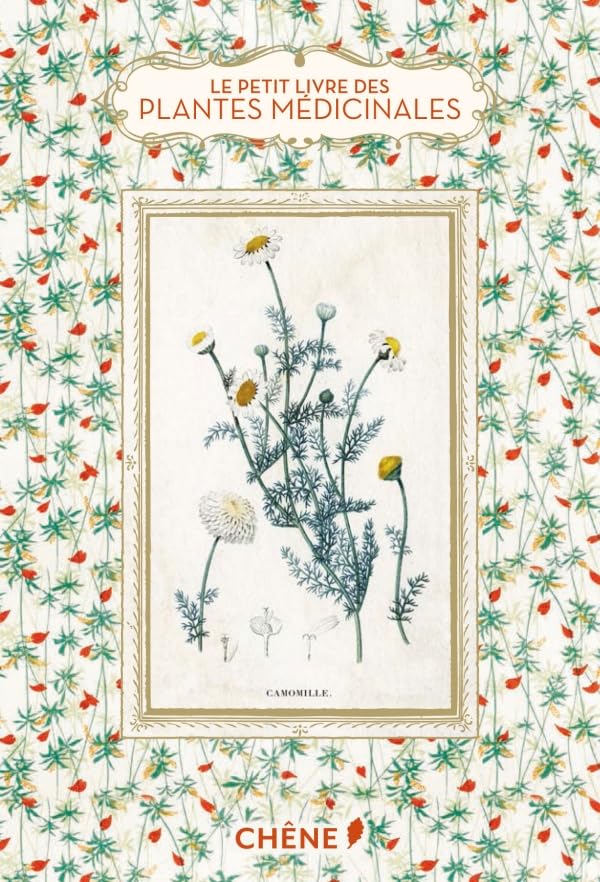 Le Petit Livre des plantes médicinales Leisure, Home & Garden