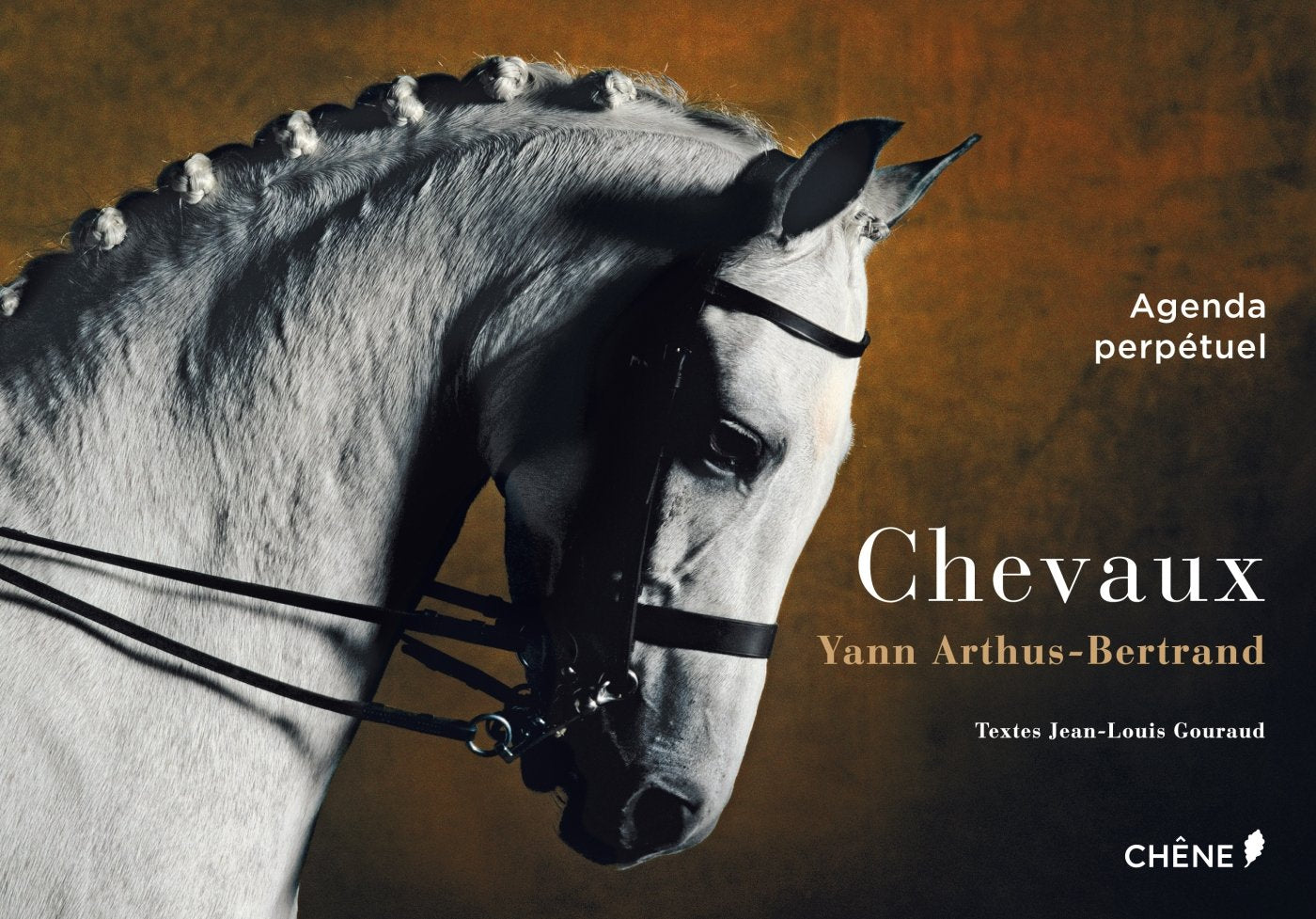 Agenda perpétuel Chevaux Leisure & Fun