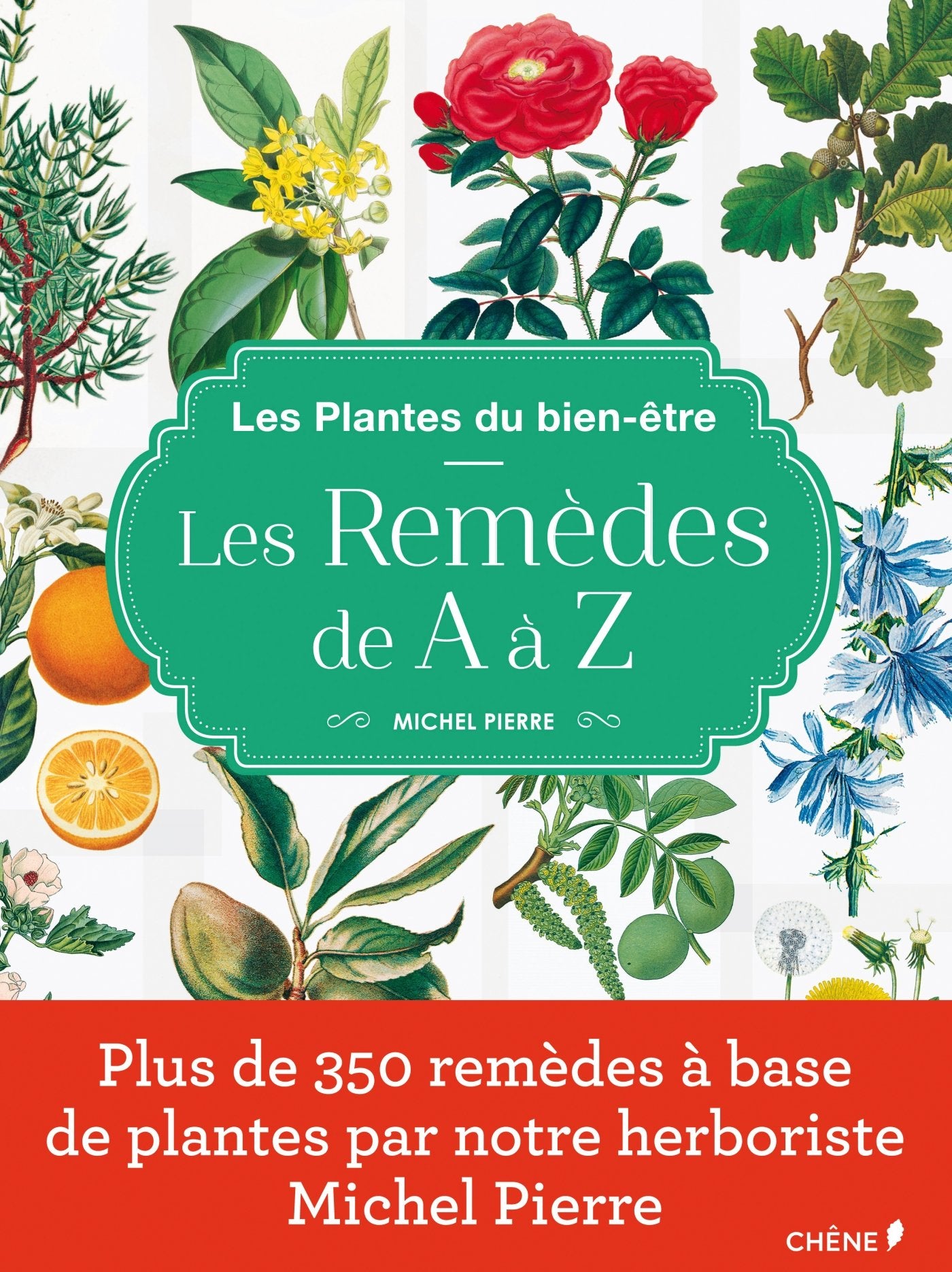 Les Plantes du Bien-être, Les remèdes de A à Z Leisure, Home & Garden