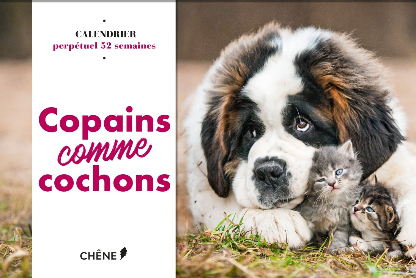 Calendrier 52 semaines Copains Comme Cochons: Calendrier perpétuel 52 semaines Partnership & Love