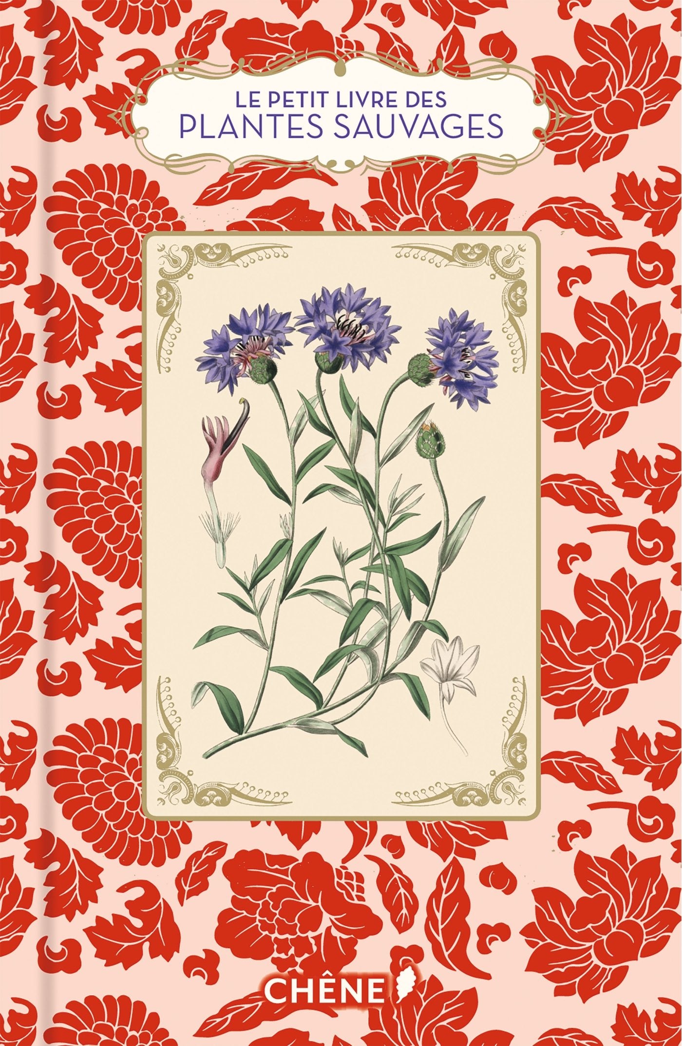 Le petit livre des plantes sauvages Film, Art & Culture
