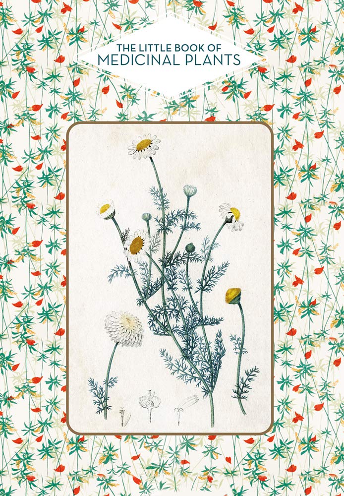 The Little Book of Medicinal Plants Mathematics
