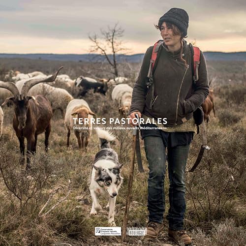 Terres pastorales: Diversité et valeurs des milieux ouverts méditerranéens Film, Art & Culture