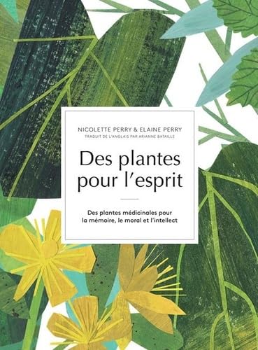 Des plantes pour l'esprit: Des plantes médicinales pour la mémoire, le moral et l'intellect Medicine
