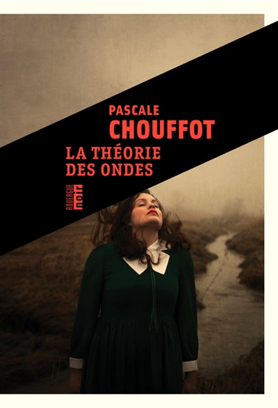 Product Image: La théorie des ondes