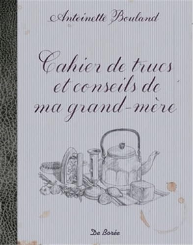 Cahier de trucs et conseils de ma grand-mère Books