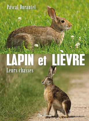 Lapin et lièvre : leurs chasses book