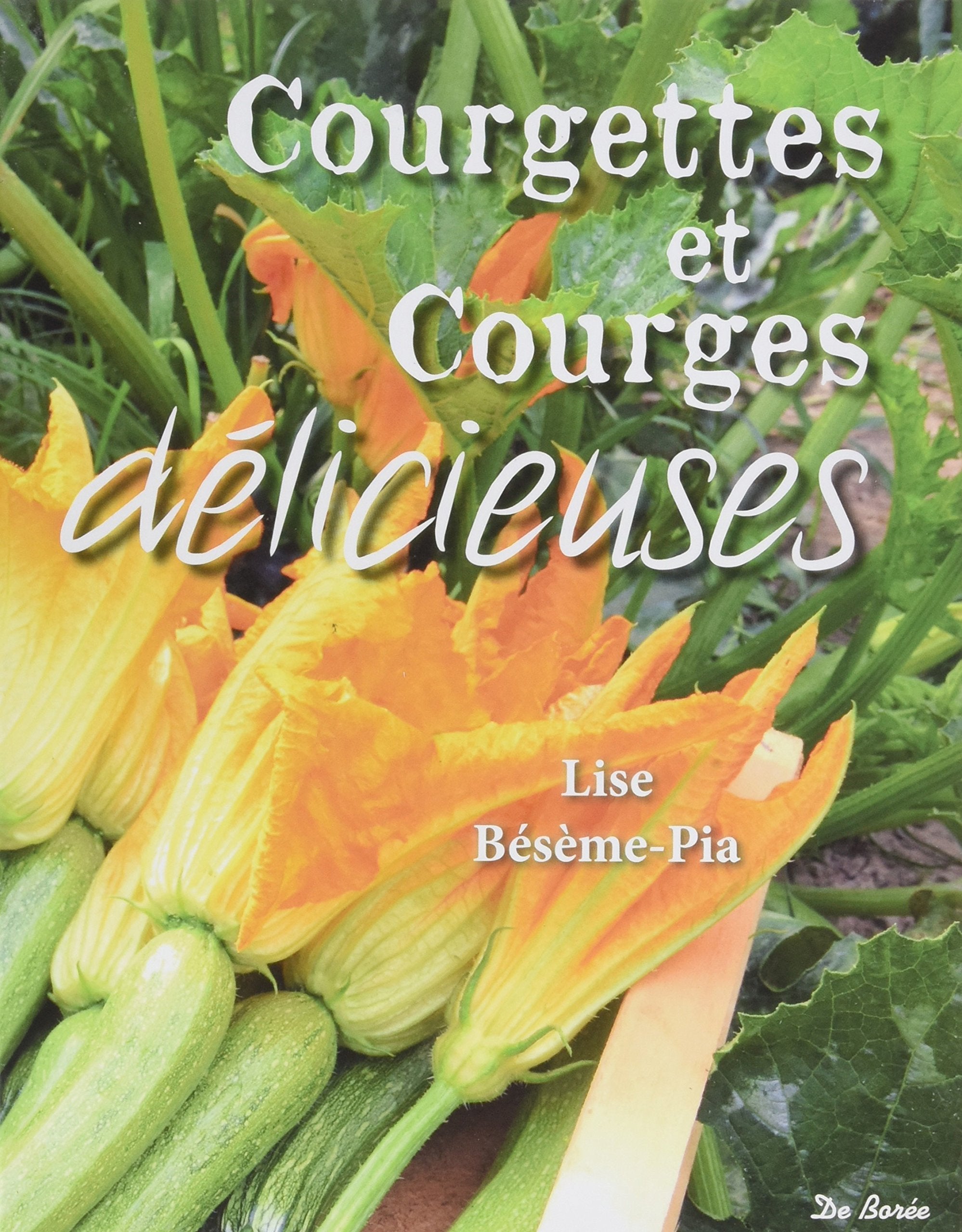 COURGETTES ET COURGES DELICIEUSES Leisure, Home & Garden