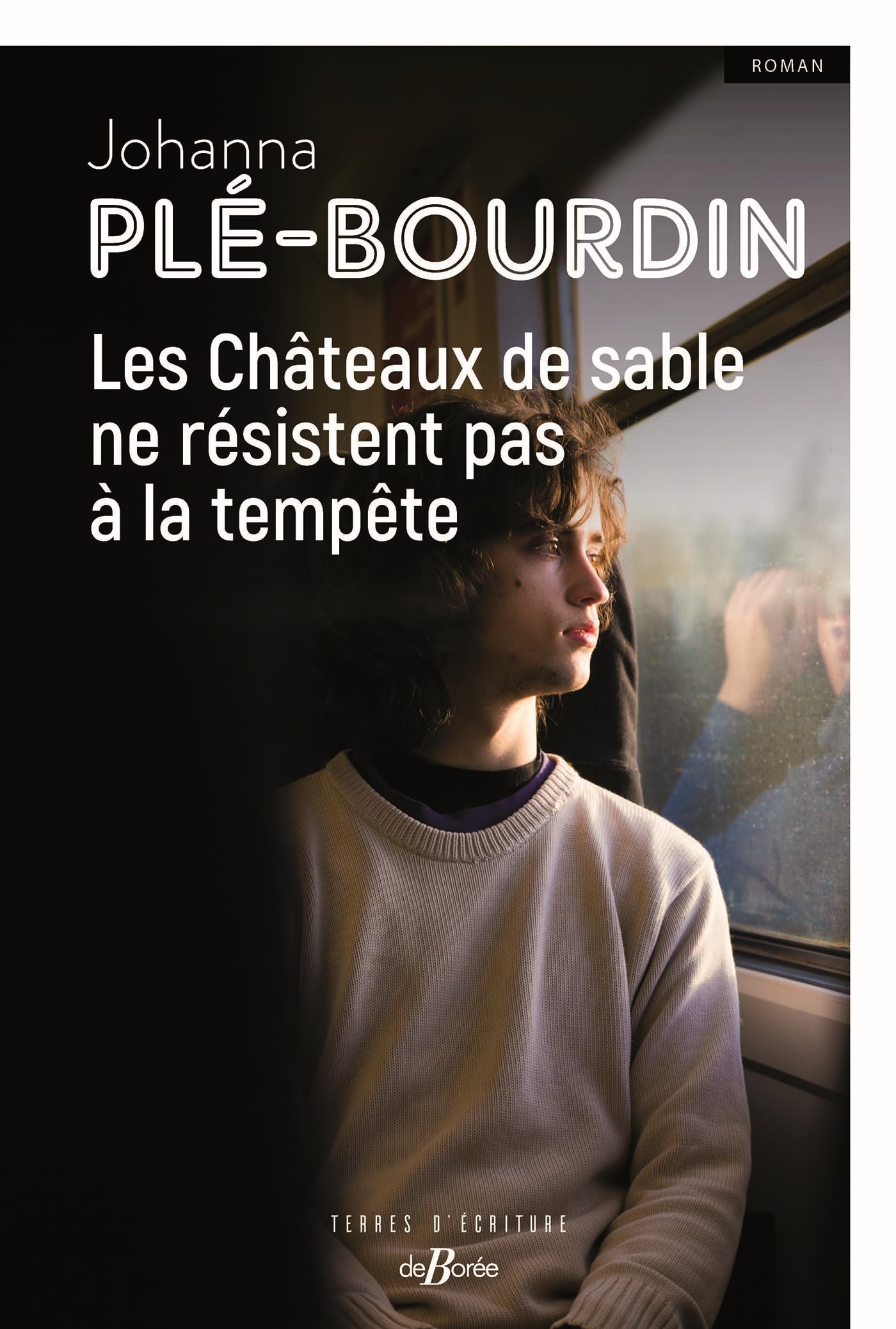Les Châteaux de sable ne résistent pas à la tempête book