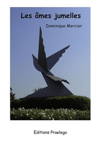 Les âmes jumelles book