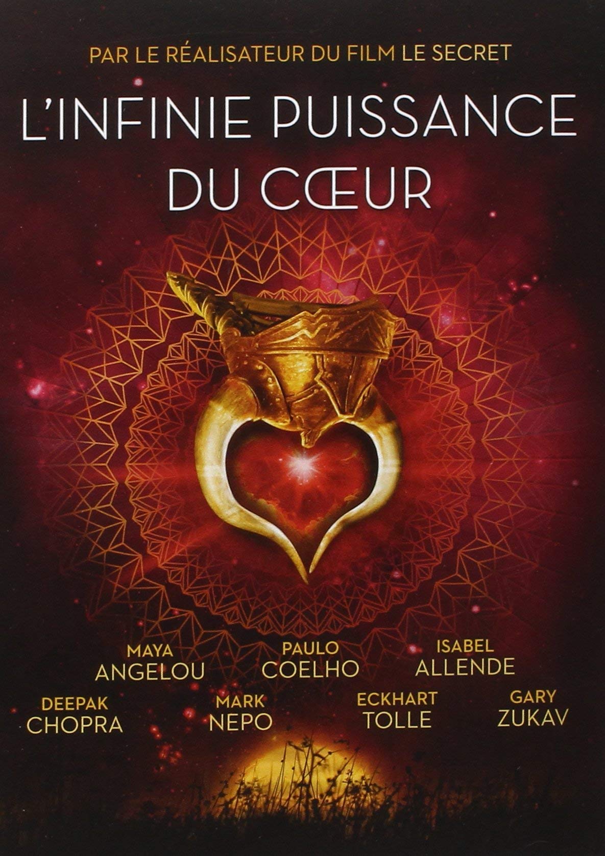 DVD l'Infinie Puissance du Coeur book