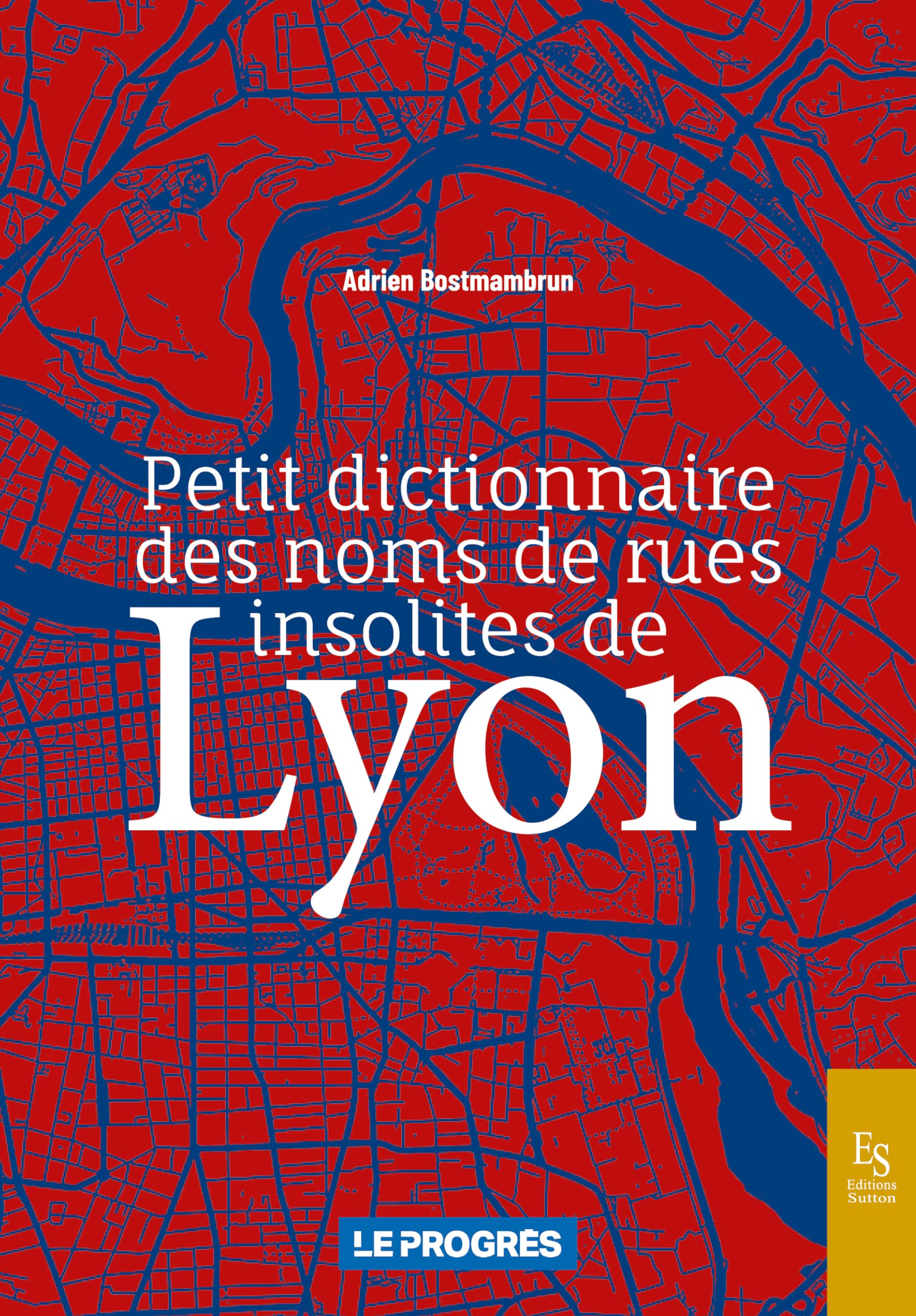Petit dictionnaire des noms de rues insolites de Lyon book