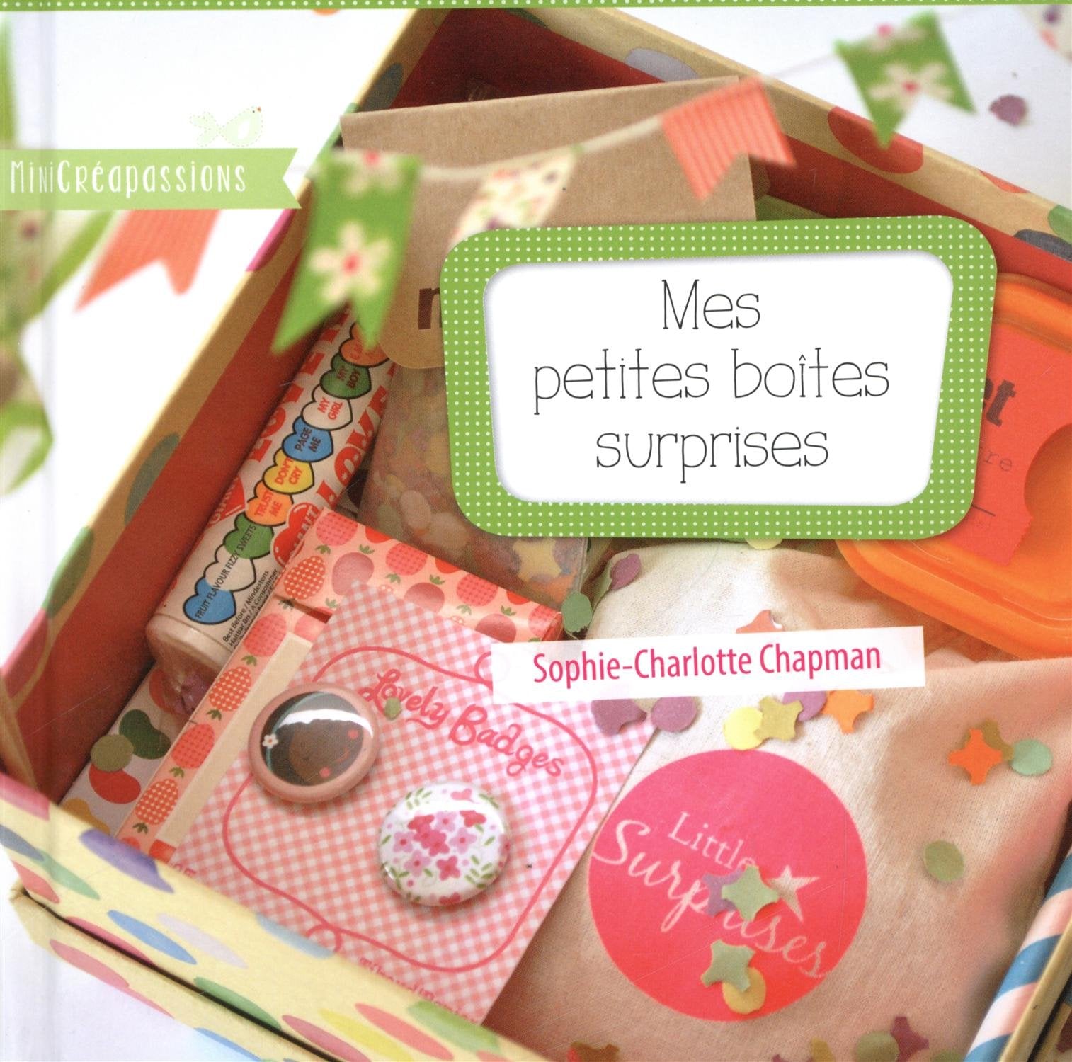 Mes petites boîtes surprises book