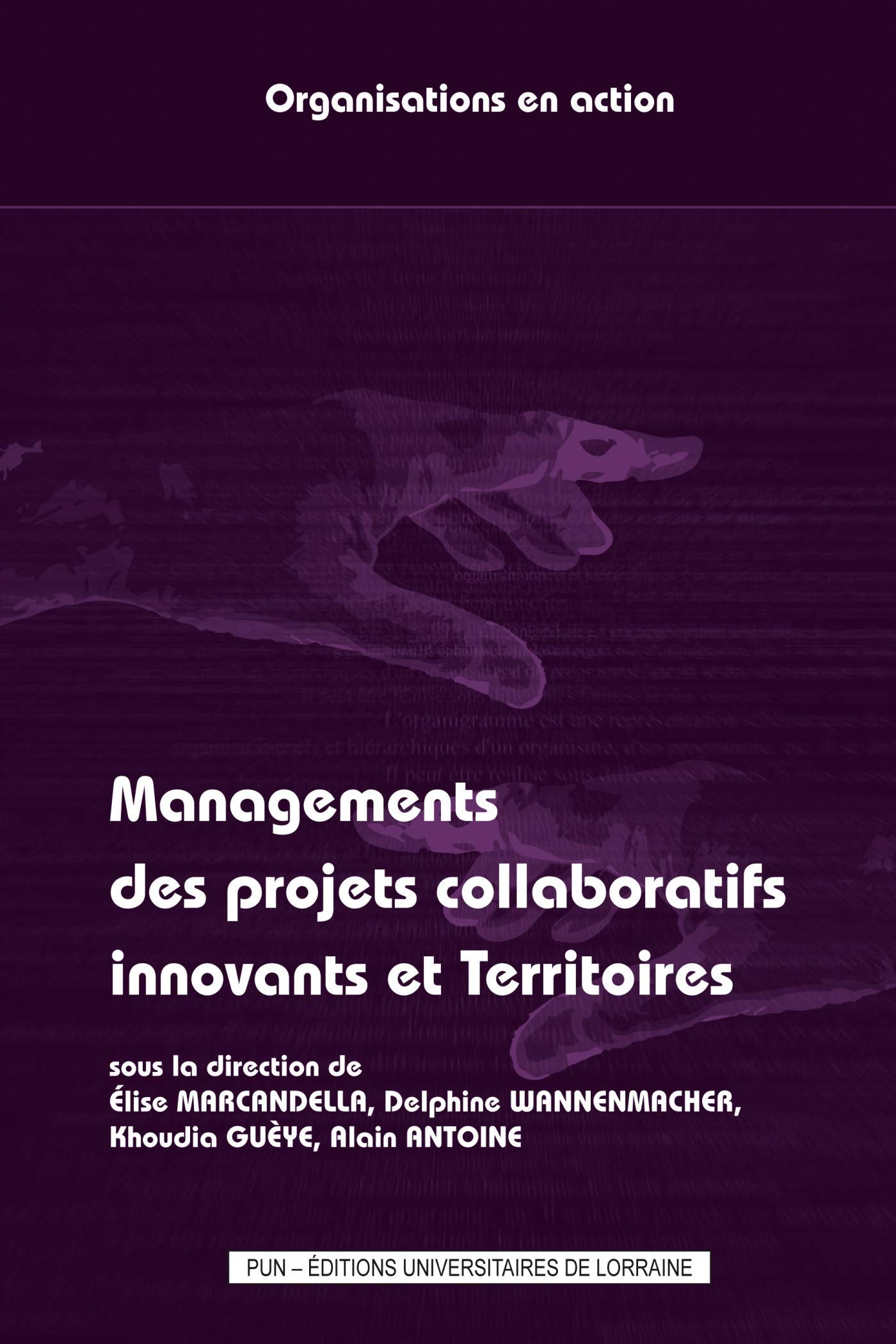 Managements des projets collaboratifs innovants et territoires book