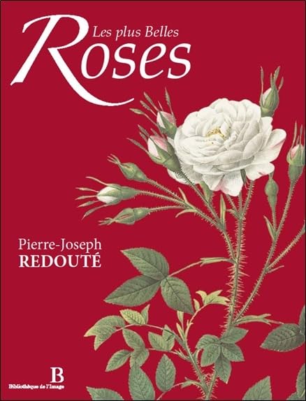 Les plus Belles Roses - Bilingue : Français/Anglais Film, Art & Culture