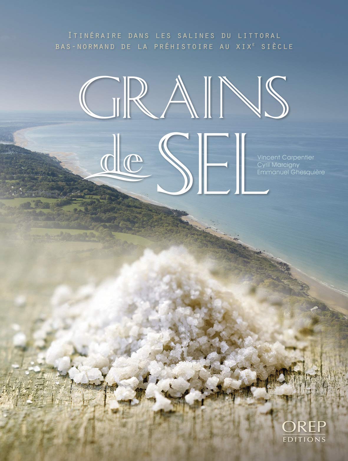 Grains de sel. Itinéraire dans les salines du littoral bas-normand de la préhistoire au XIXe siècle. book