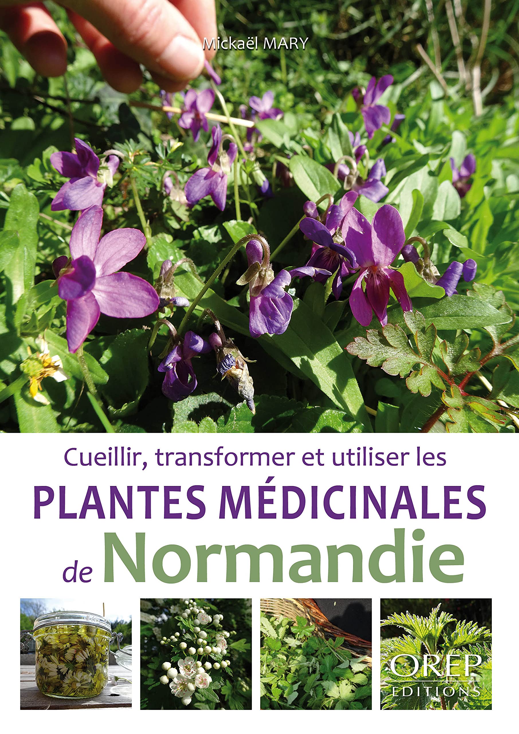 Plantes médicinales de Normandie Leisure, Home & Garden