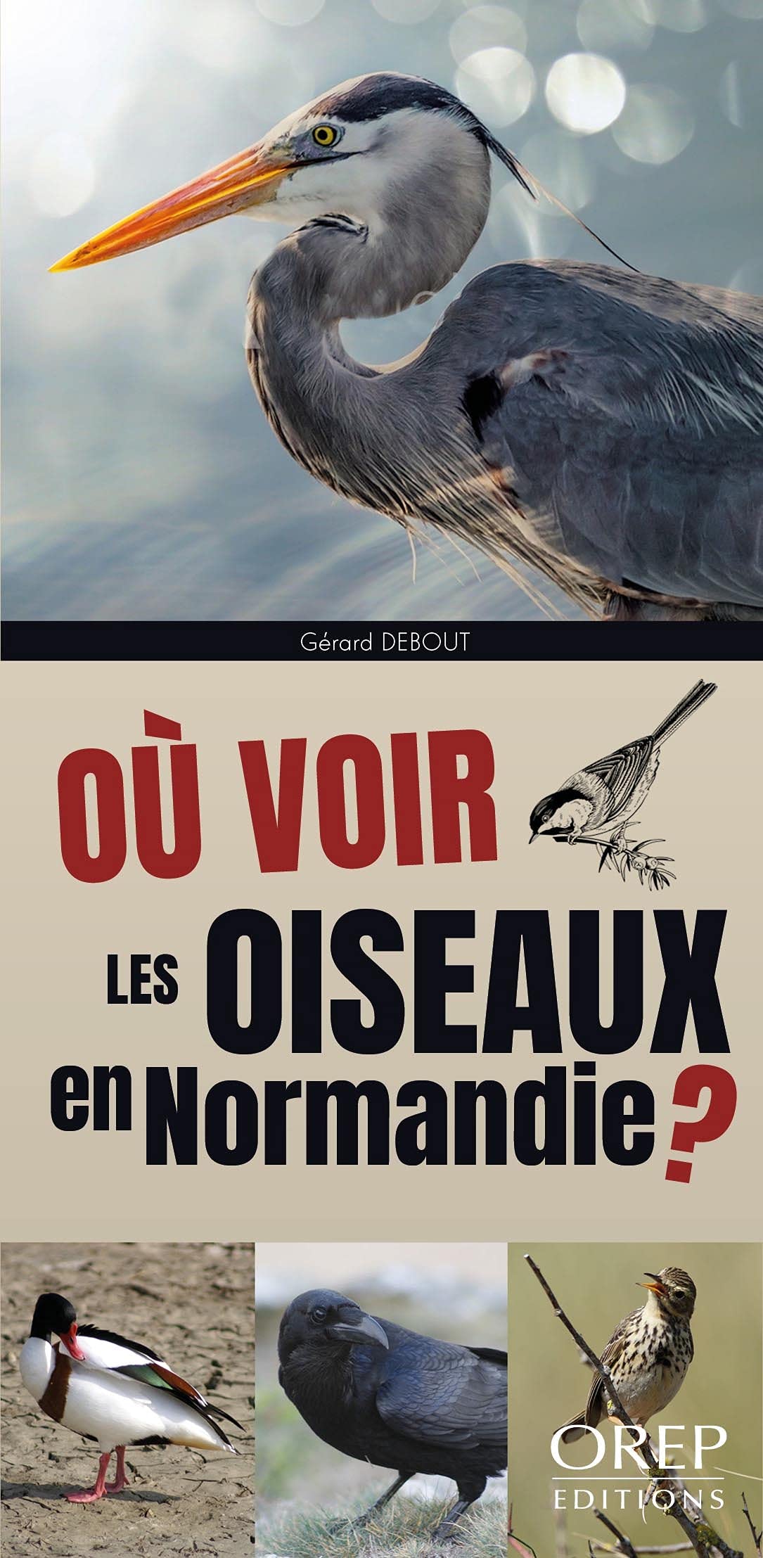Où voir les oiseaux en Normandie ? book