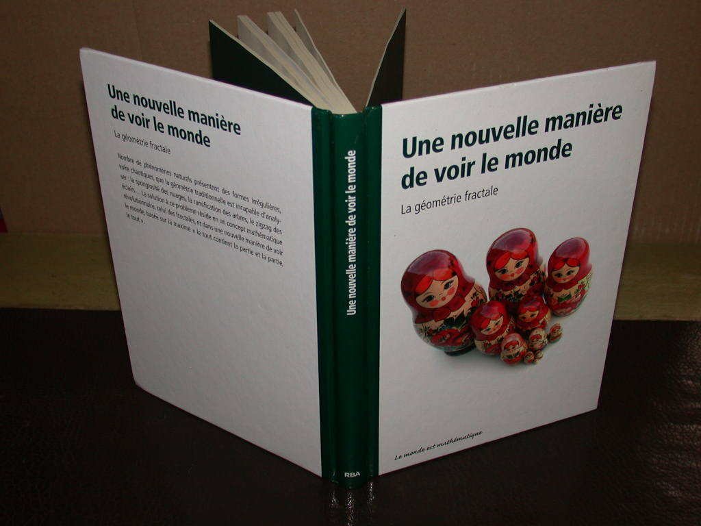 Une nouvelle manière de voir le monde. La géométrie fractale Books