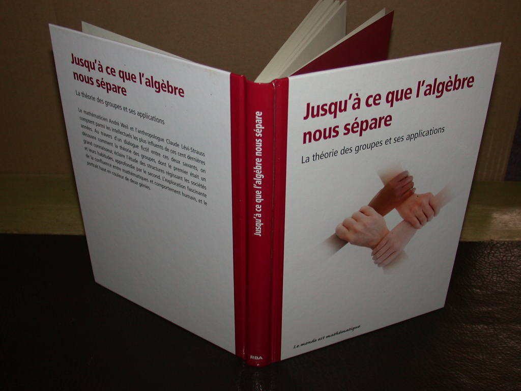 Jusqu'à ce que l'algèbre nous sépare. La théorie des groupes et ses applications Books