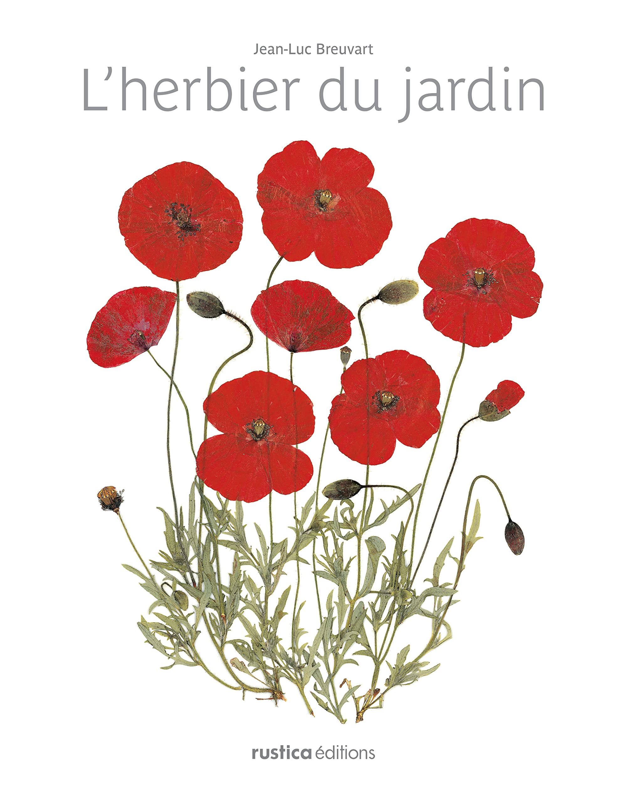 L'herbier du jardin Garden & Plants
