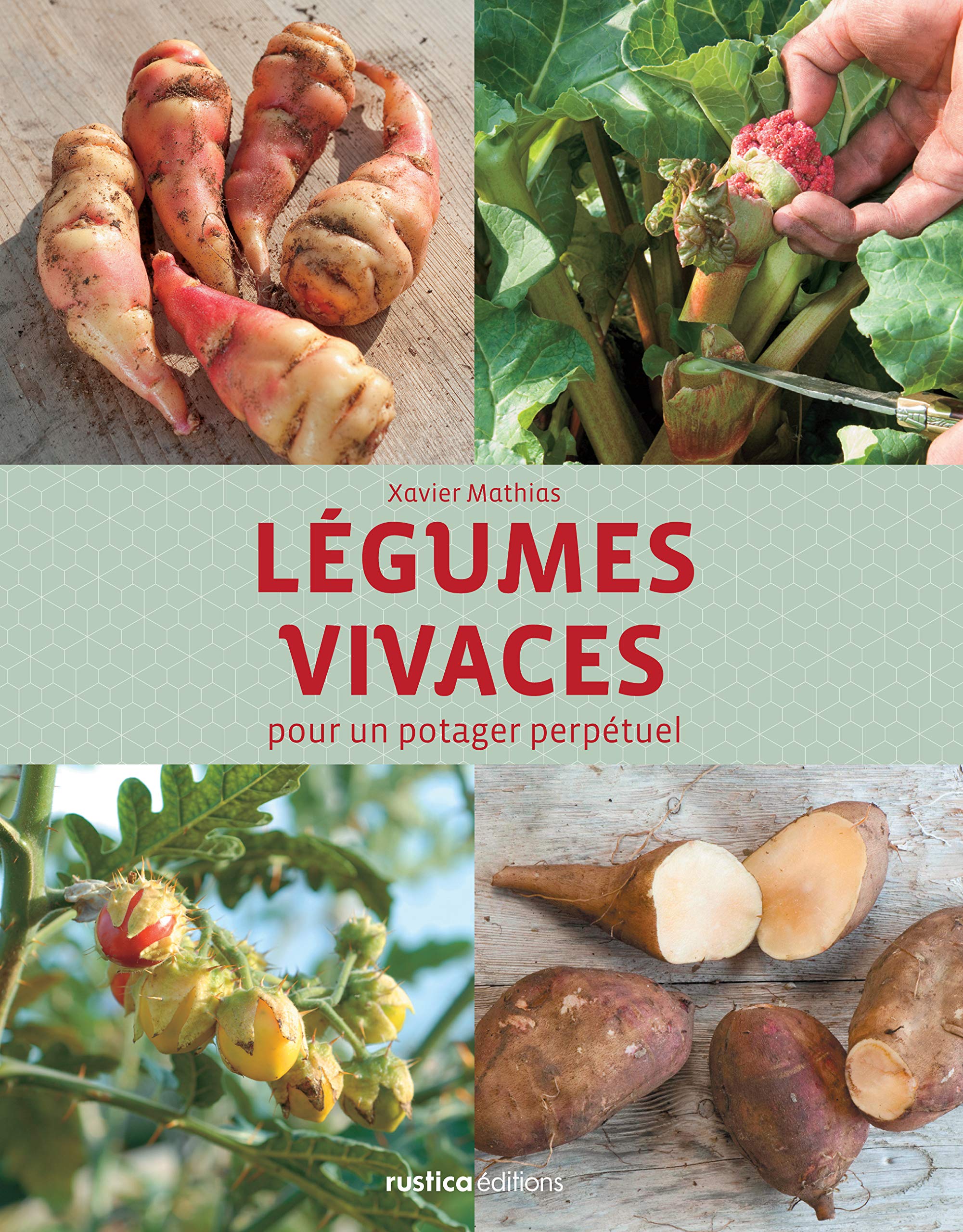 LEGUMES VIVACES POUR UN POTAGER PERPETUEL Garden & Plants