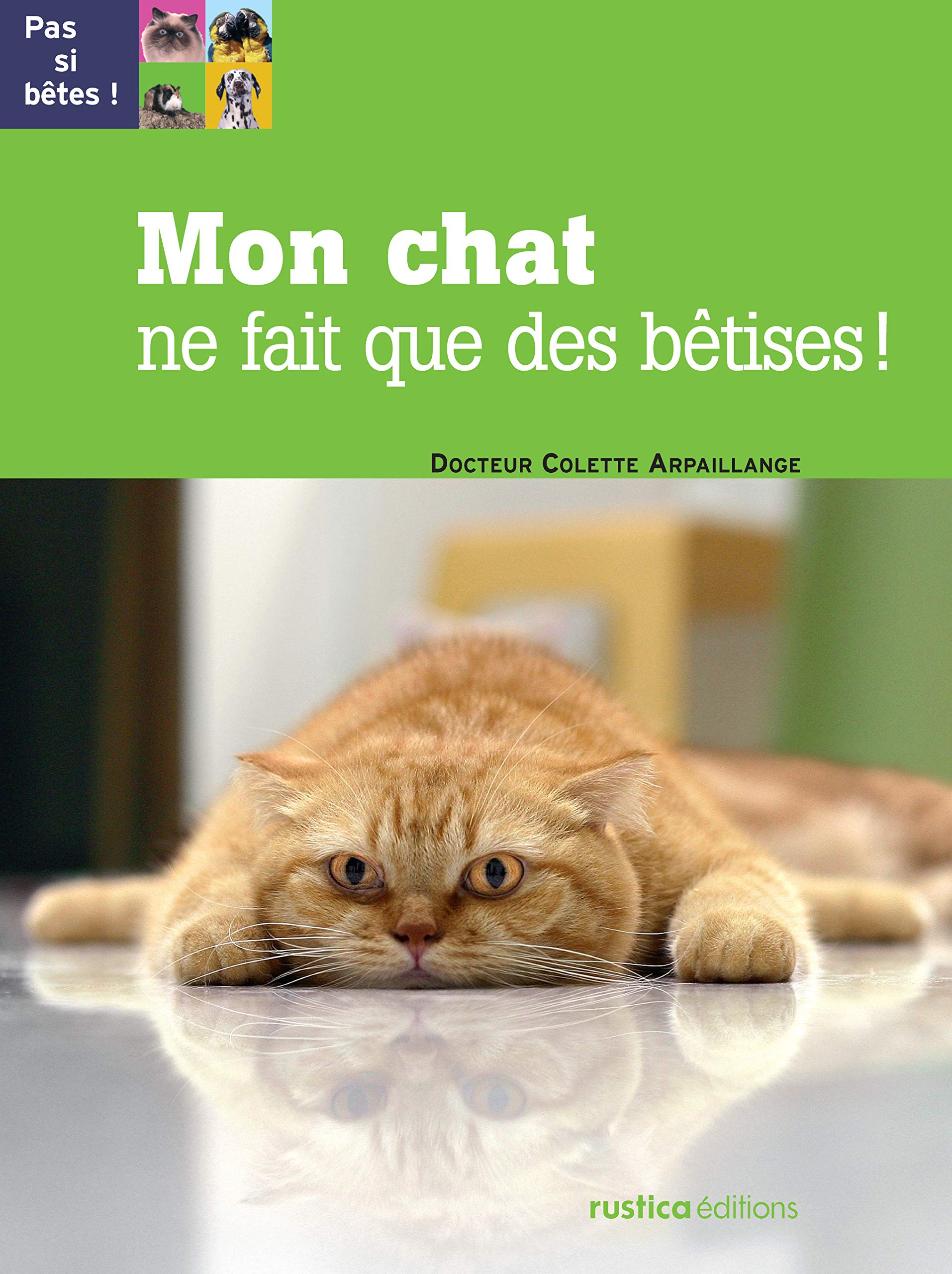MON CHAT NE FAIT QUE DES BETISES book