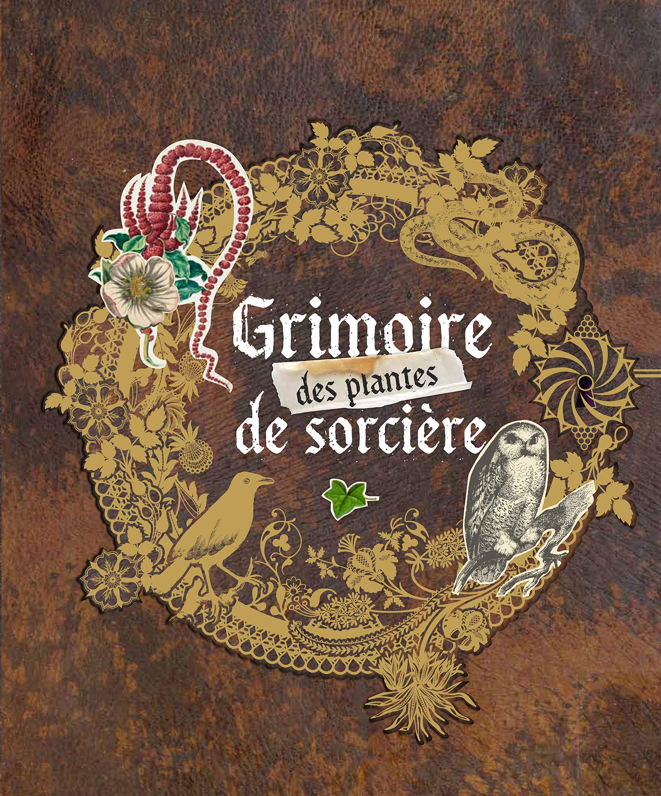 GRIMOIRE DES PLANTES DE SORCIERES Health, Nutrition & Fitness