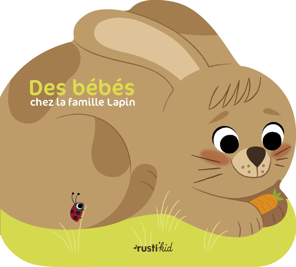 DES BEBES CHEZ LA FAMILLE LAPIN book