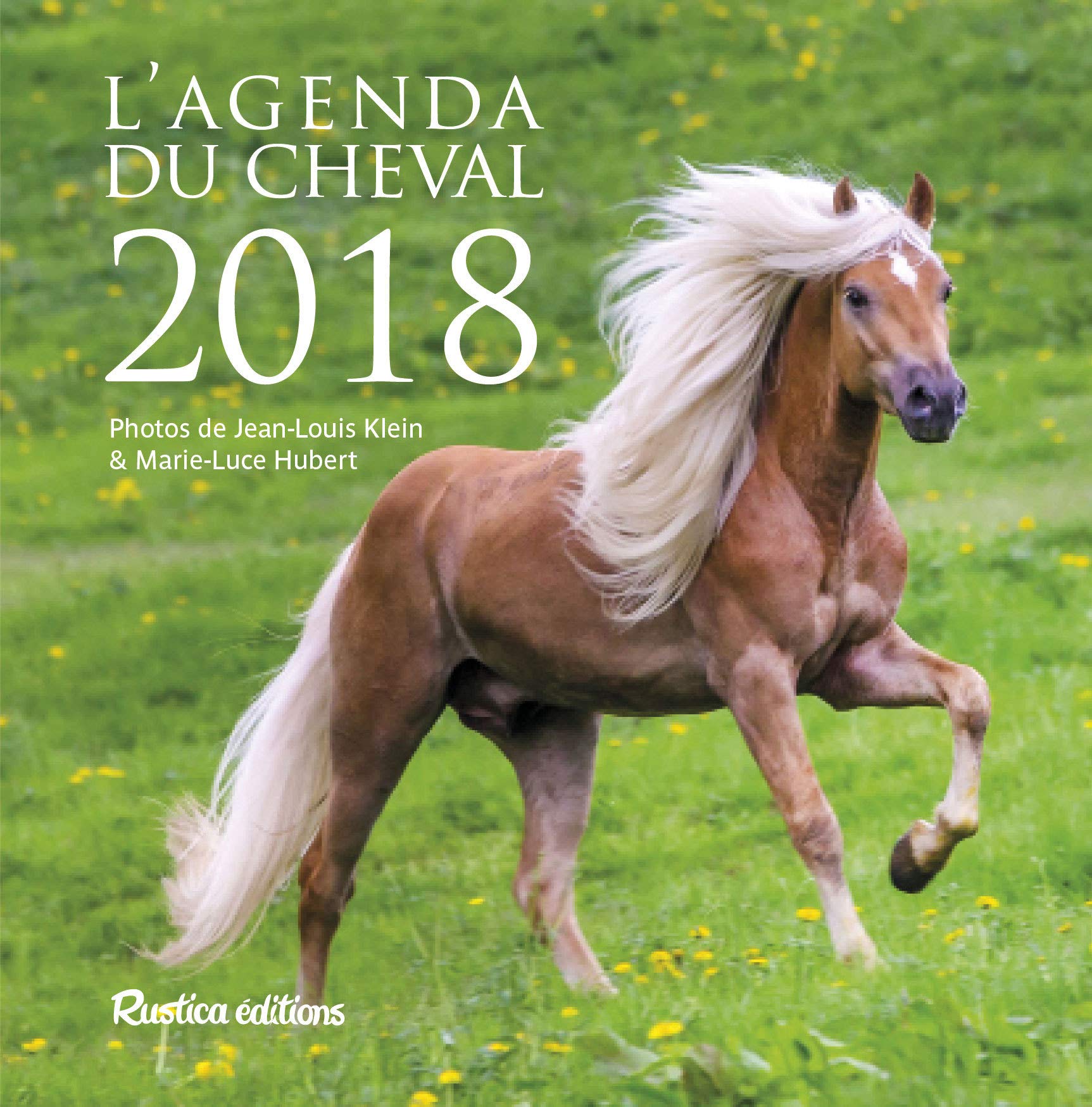 L'agenda du cheval 2018 book