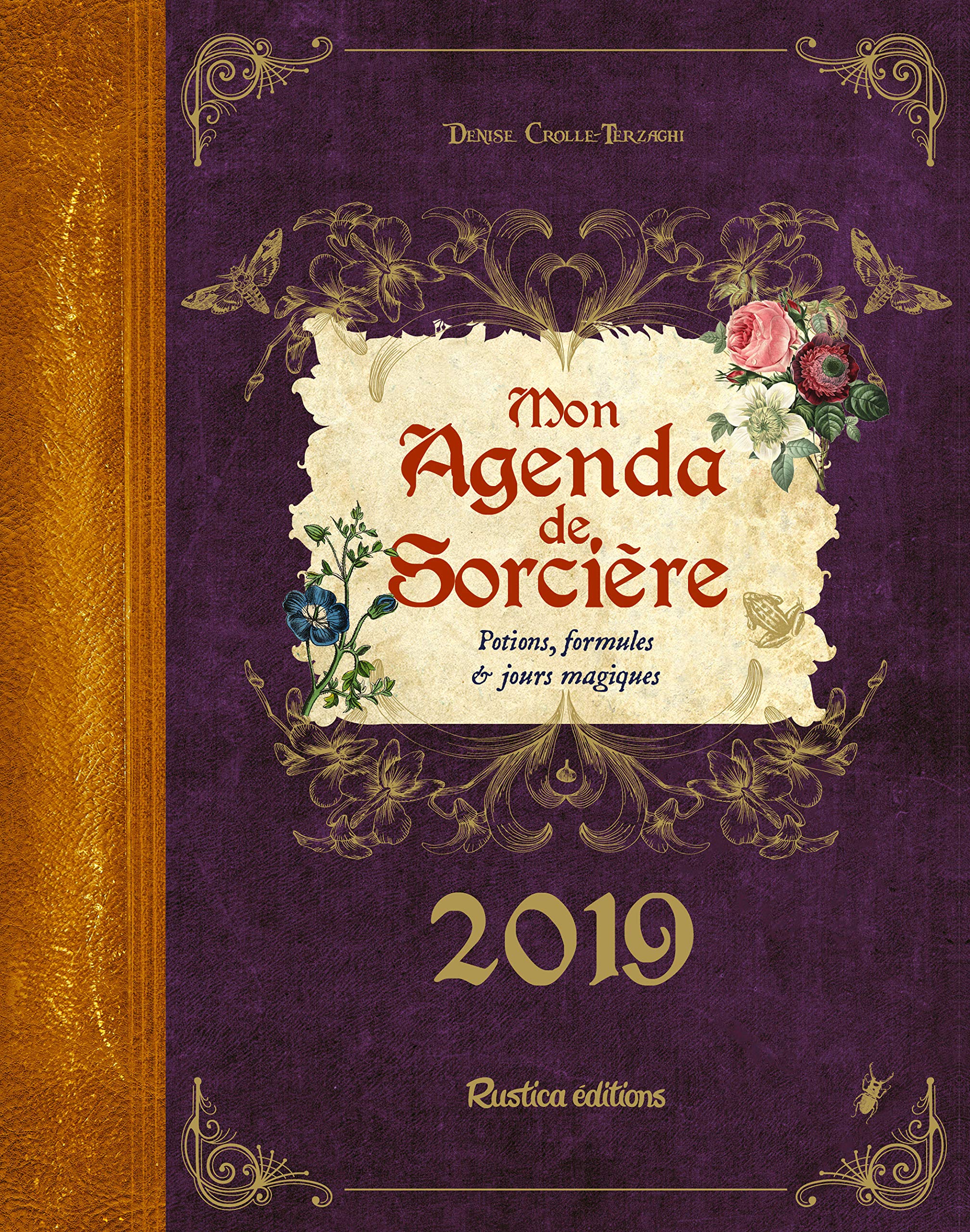 Mon agenda de sorcière 2019: Potions, formules et jours magiques book