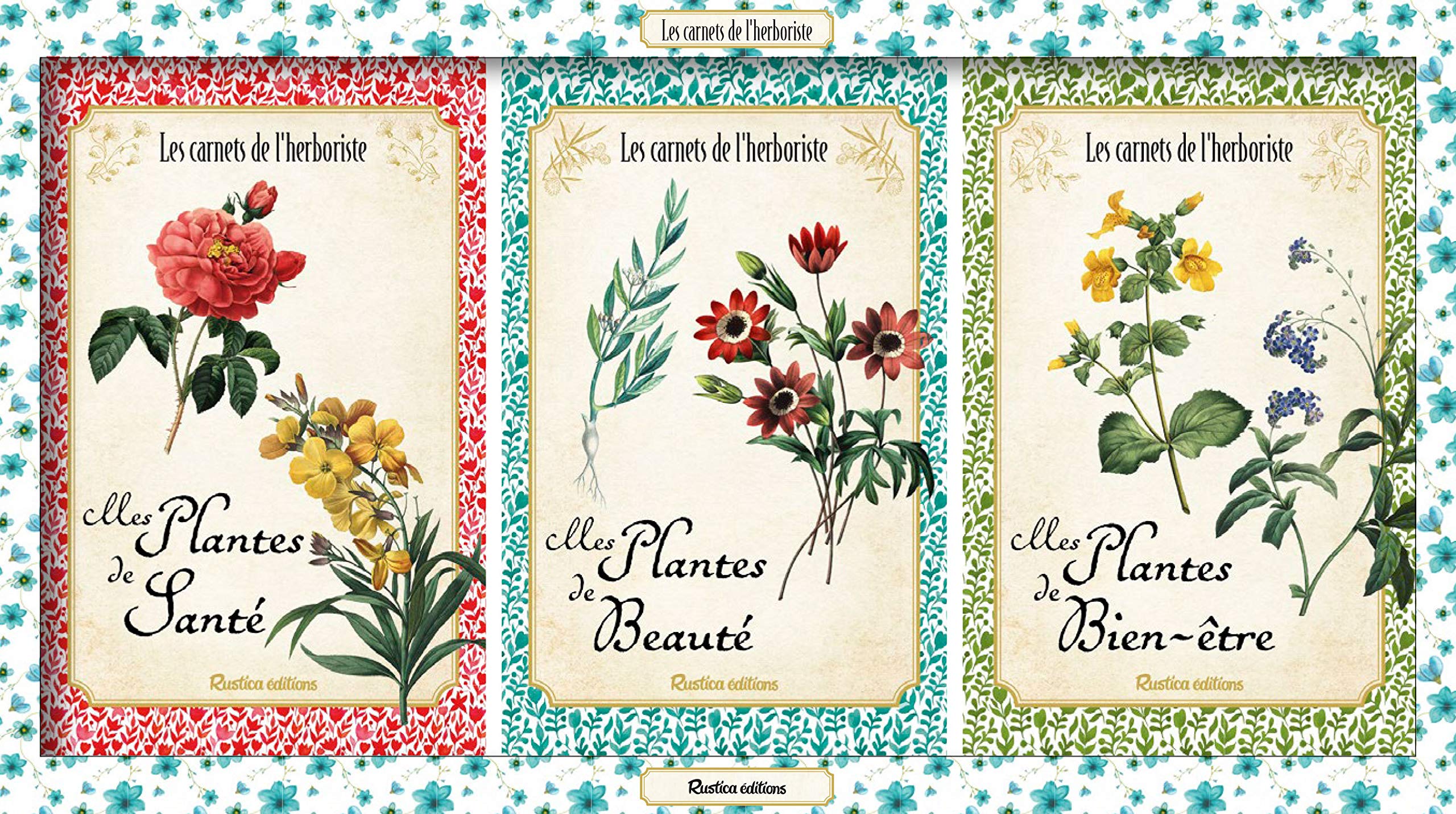 Les carnets de l'herboriste: Coffret en 3 volumes : Mes plantes de santé ; Mes plantes de beauté ; Mes plantes de bien-être Health, Nutrition & Fitness