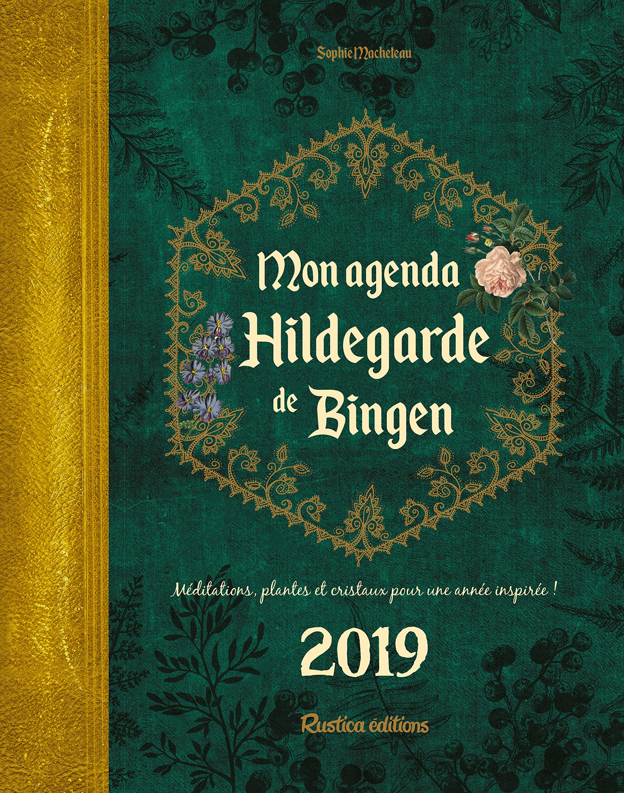 Mon agenda Hildegarde de Bingen 2019: Méditations, plantes et cristaux pour une année inspirée ! book