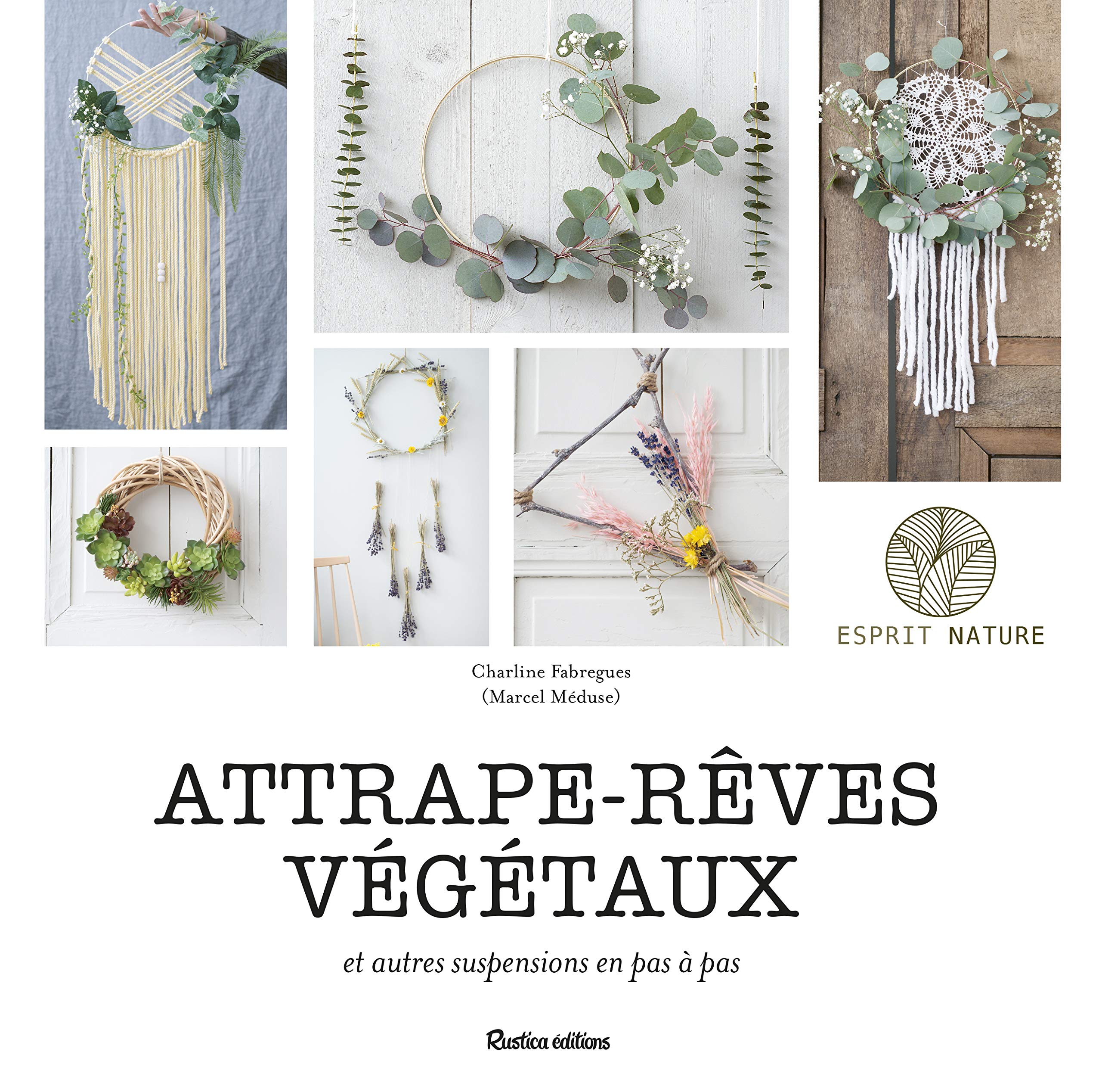 Attrape-rêves végétaux: Et autres suspensions en pas à pas Leisure, Home & Garden
