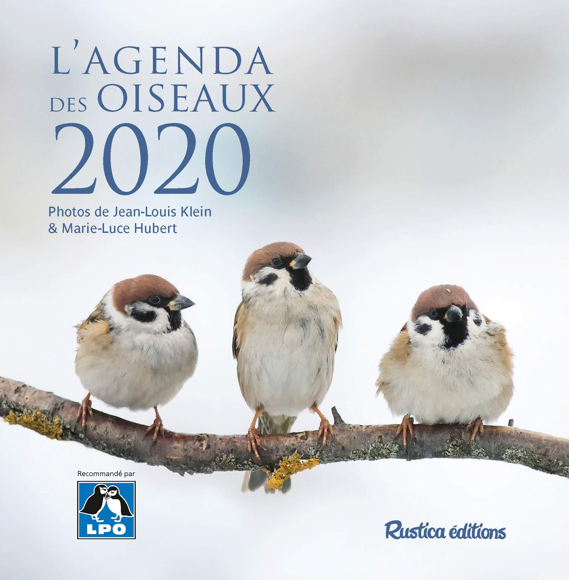 L'agenda des oiseaux 2020 Leisure, Home & Garden