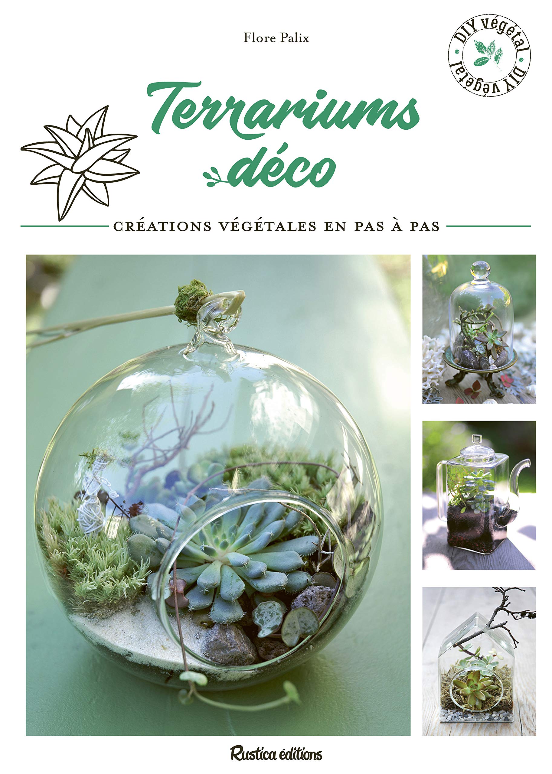 Terrariums déco: Créations végétales en pas à pas Garden & Plants