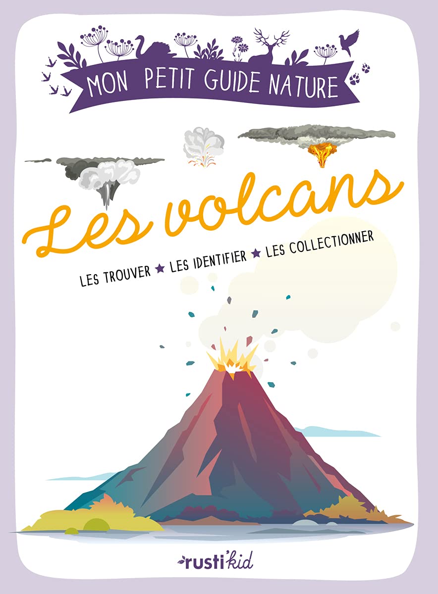 Les volcans: Origines - Caractéristiques - Fonctionnements Non-fiction
