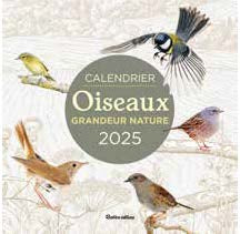 Oiseaux grandeur nature : calendrier mural 2025 Leisure, Home & Garden