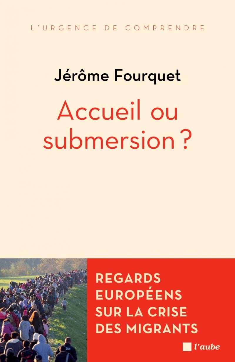 ACCUEIL OU SUBMERSION ?: Regards européens sur la crise des migrants Social Sciences